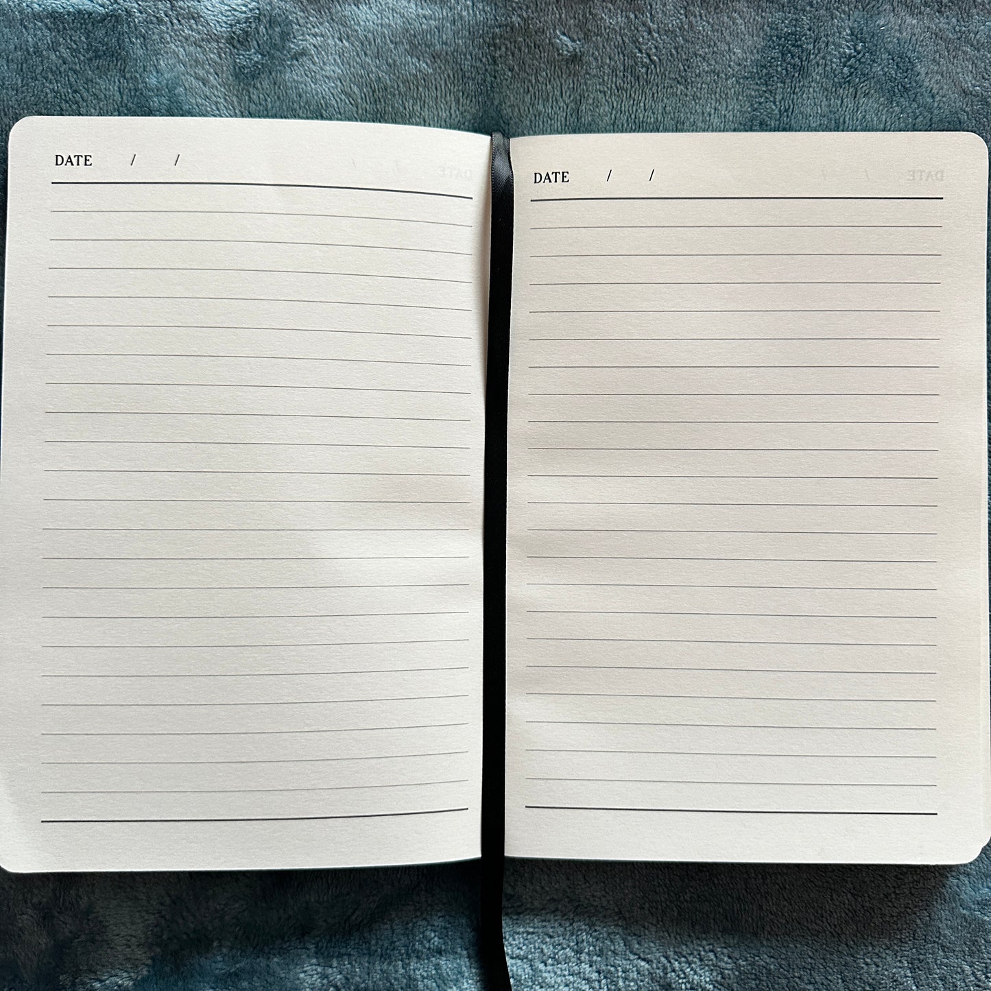 Awaken Her Vision Companion Diary